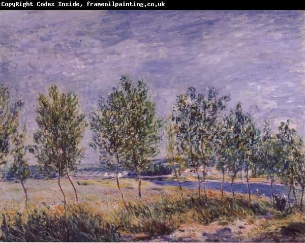 Claude Monet Poplars on a River Bank